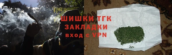 гидра Гусиноозёрск