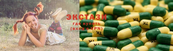 гидра Гусиноозёрск
