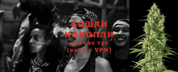 гидра Гусиноозёрск
