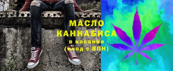 гидра Гусиноозёрск