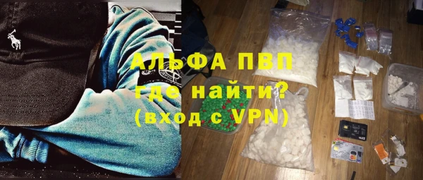 гидра Гусиноозёрск