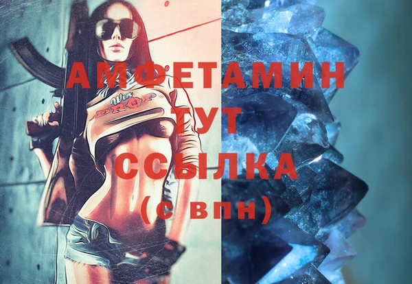гидра Гусиноозёрск