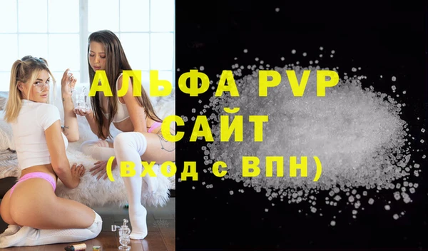 гидра Гусиноозёрск
