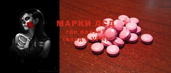 гидра Гусиноозёрск